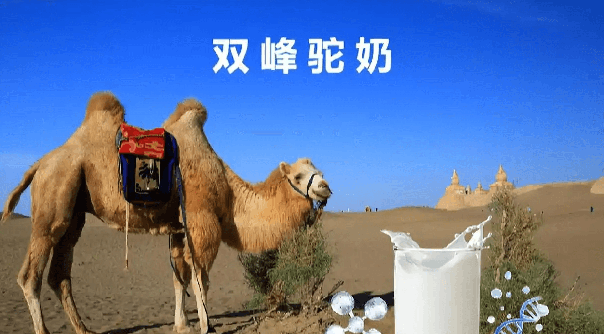 d5255593cd61624d9e5d5faa7eaf3d80